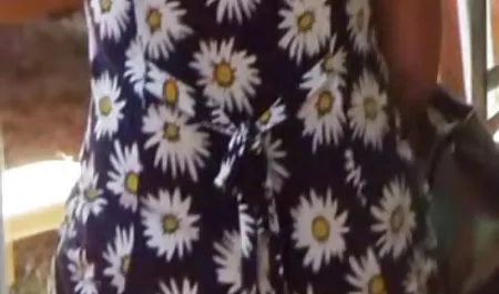 Це українські студентки відео зброя кішки