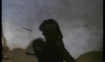 23 збір студенти еротика відео