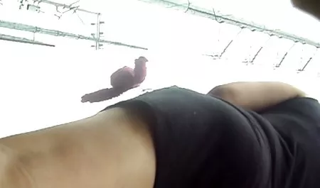 Наомі Рассел порно училка і студент 14