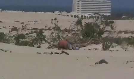 22 камери блять українське порно зі студентами