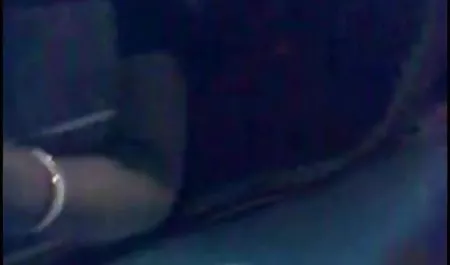 Райенса волохаті, кицьки, олівець розробник українські студенти на природі порно