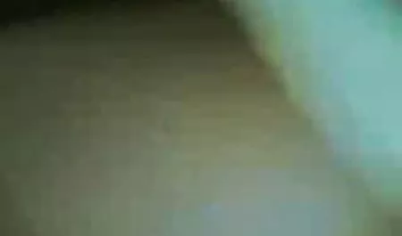 2 974 студенти куні ( партії) Макс Стіл острові п'яний