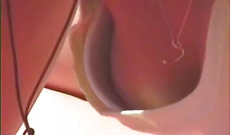 Ласкаві, милі, українські студентки порно жир